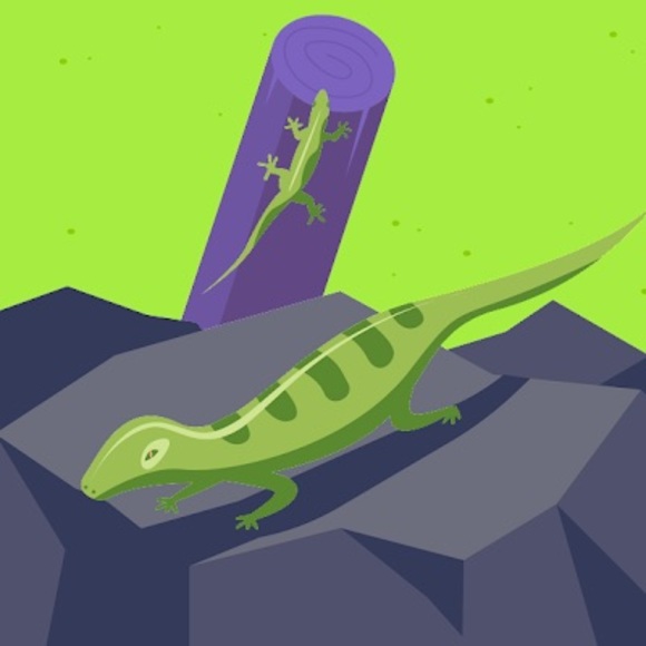 Meet your Posher, Masha - Picture 1 of 1